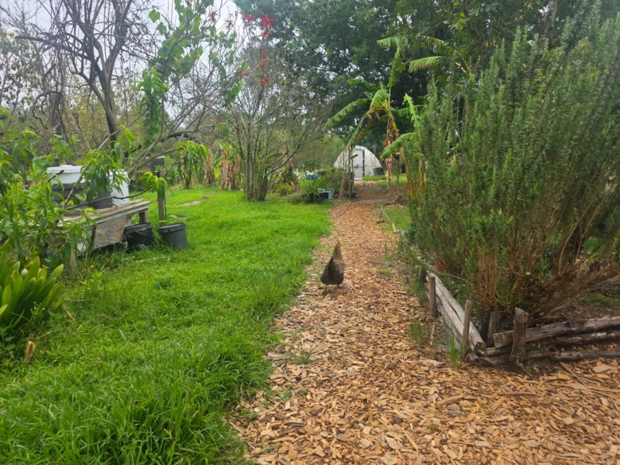 Commercial Property for Sale in Sedgefield Rural Western Cape